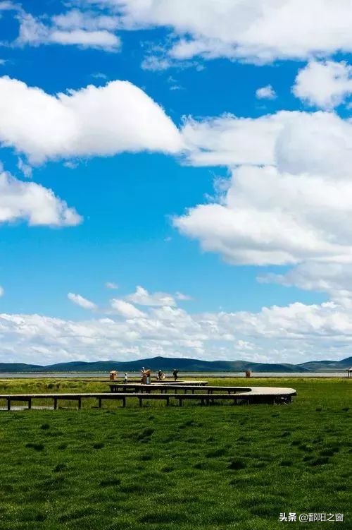 四川若尔盖，中国最美的高寒湿地草原，川西北高原上的绿洲