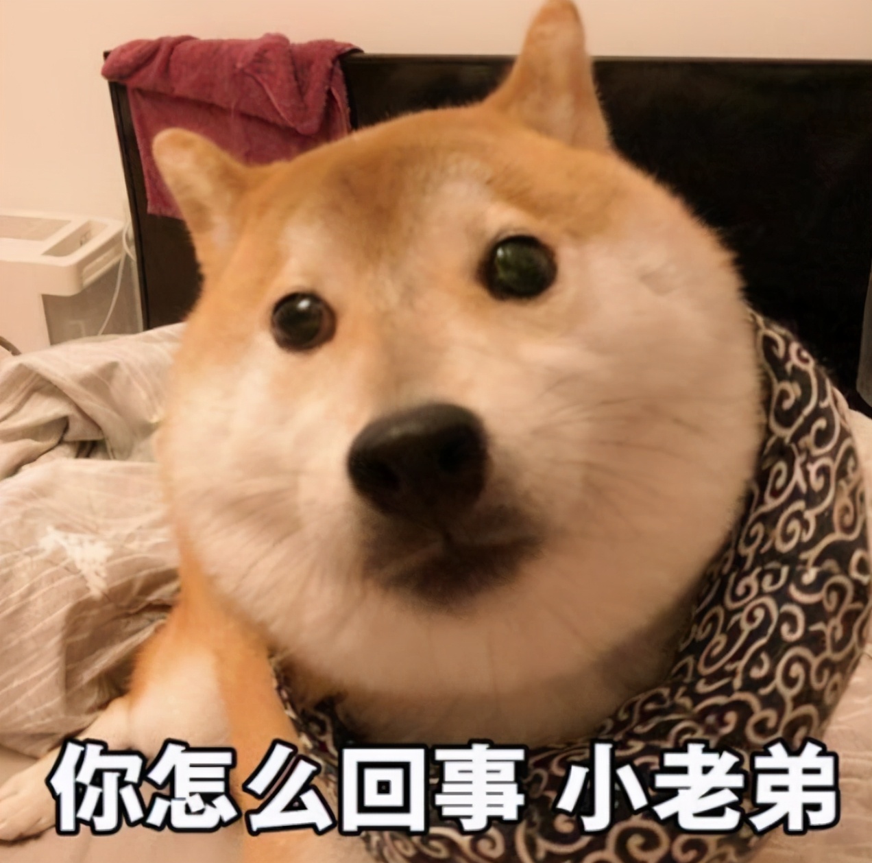 13宀佸皯骞翠拱lv,13宀佸皬瀛╀拱lv