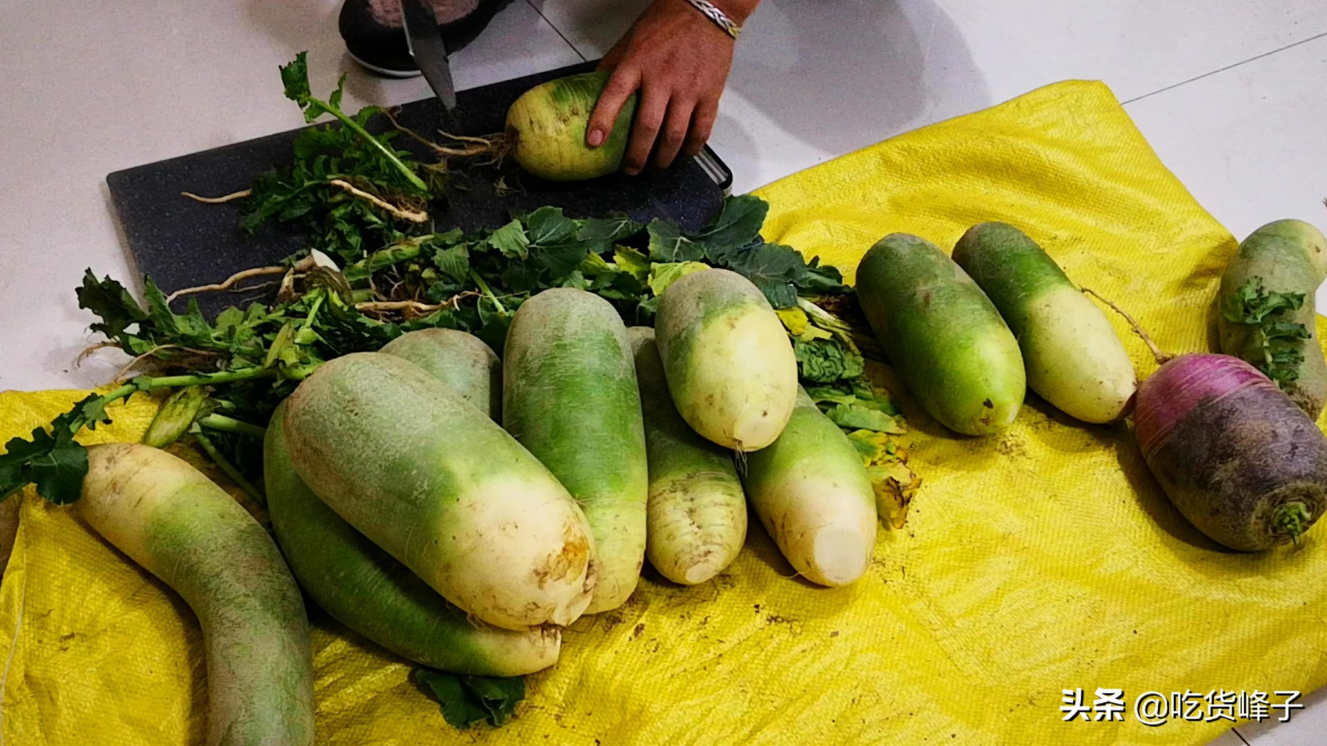 买萝卜时应该怎么选,冬天哪种萝卜不能买
