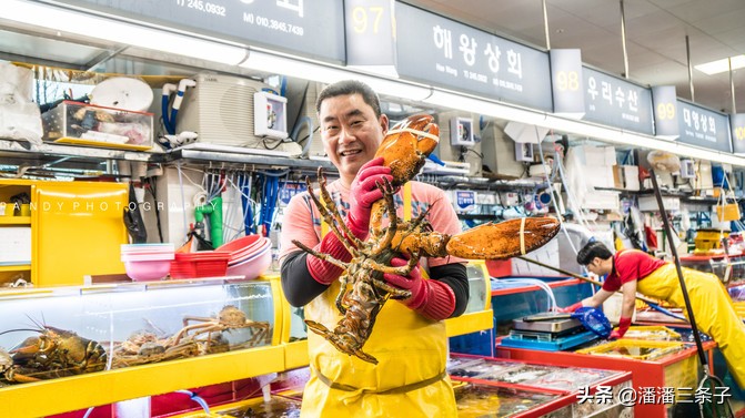 去韩国不购物回来的感受,去韩国一定要买什么