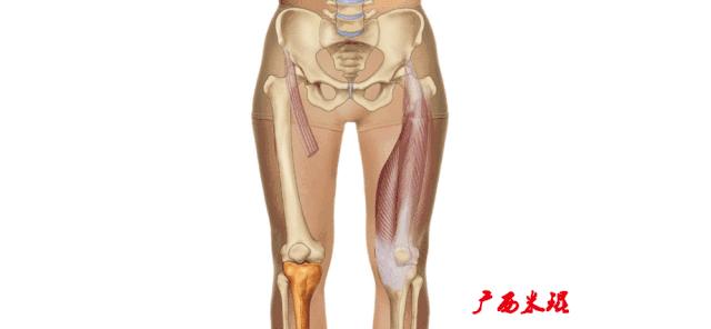 膝盖扭伤前交叉韧带损伤可以热敷,前交叉韧带扭伤最快自愈方法