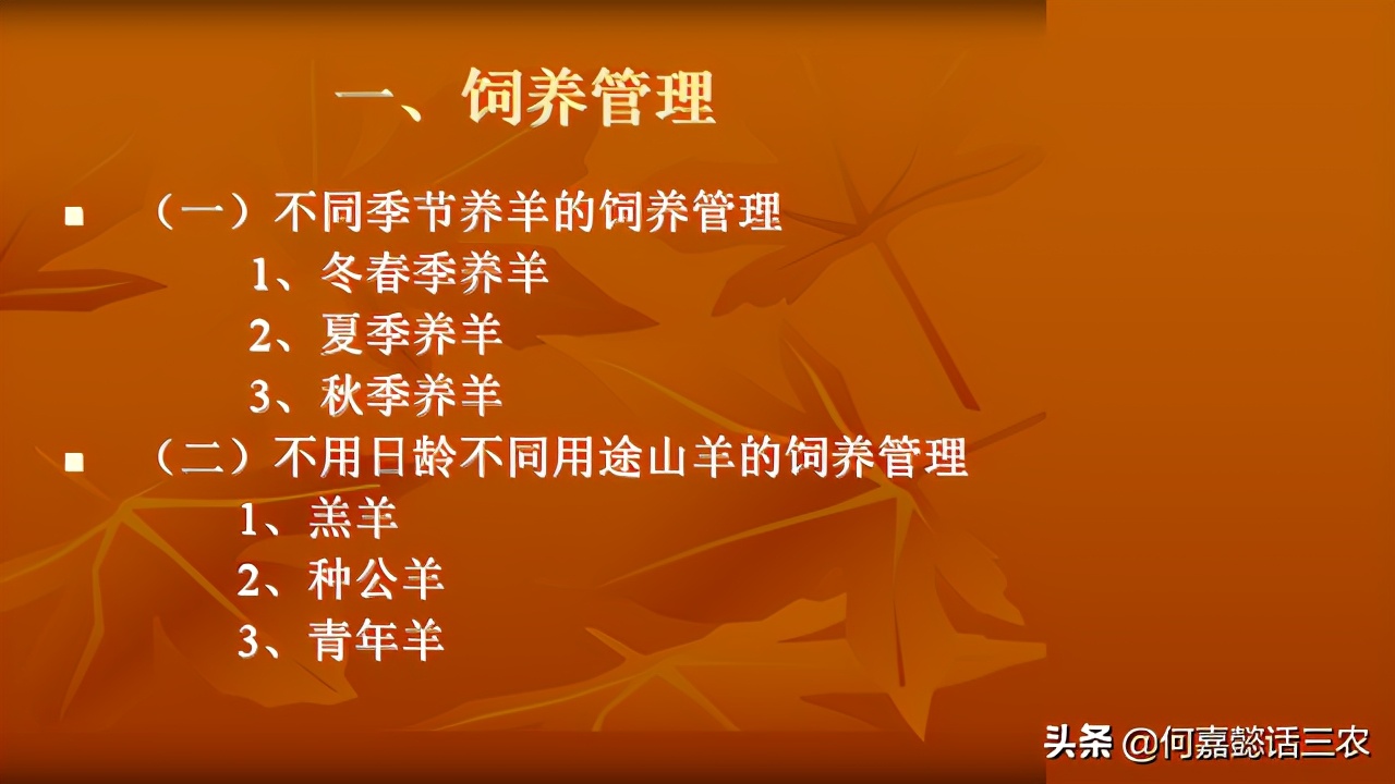 何嘉懿讲兽医养殖技术,何嘉懿的养殖方法