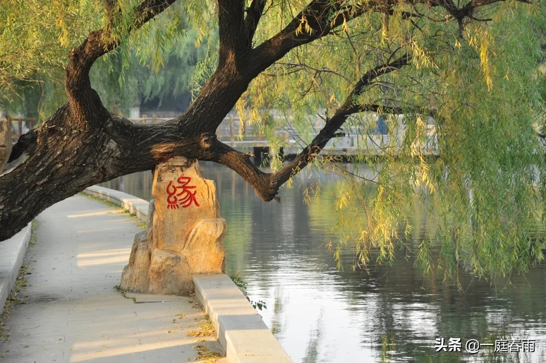 教育部部属六所师范大学是985吗,东北师范大学是什么级别