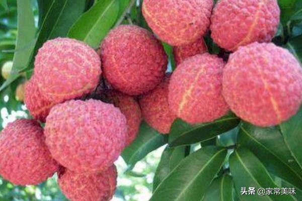 世界几大顶级美食品尝,世界五大顶级美食都是什么