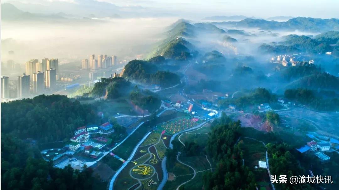 重庆无症状感染者最新情况,重庆无症状感染者在哪个区