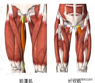 詹姆斯库里受伤瞬间,詹姆斯和库里伤病