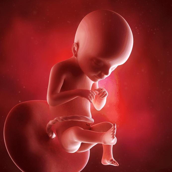 产后第一天,产后1-3天做什么