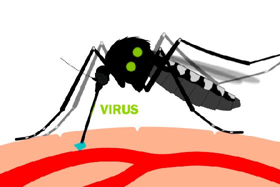 蚊虫叮咬一直痒怎样治,蚊虫叮咬越挠越痒怎么办