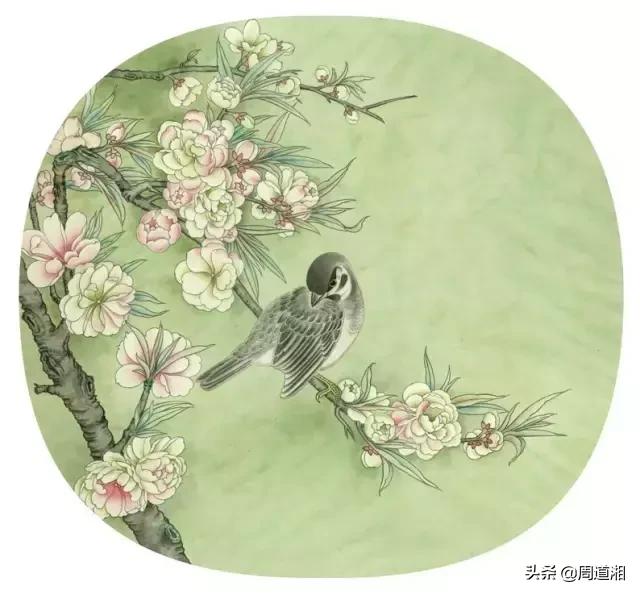 宋人工笔花鸟临摹步骤,工笔花鸟玉兰的画法