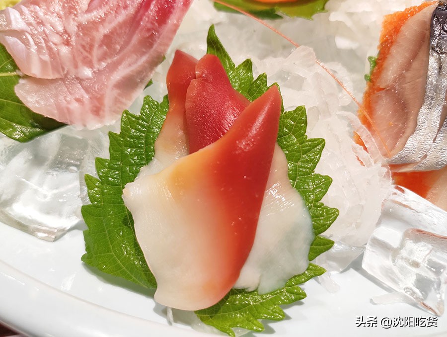 日本海鲜刺身怎么吃,各种各样的大海鲜刺身
