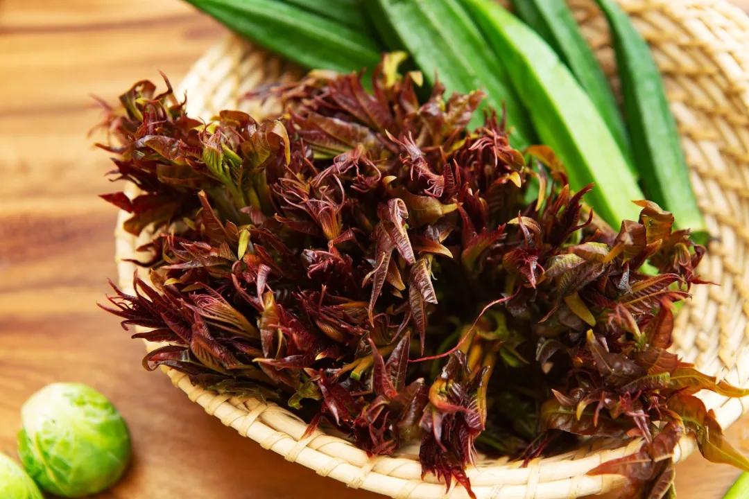 谷雨的知识俗语和传说,谷雨的来历和习俗幼儿园主题内容