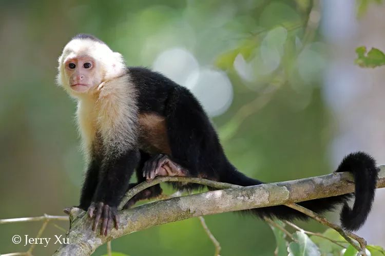 生物大揭秘视频,生物大揭秘