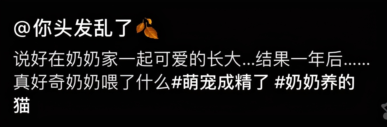 打马赛克的段子,关于马赛克的经典段子