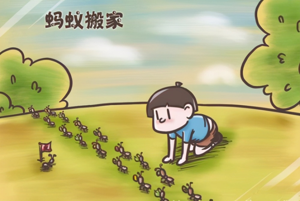 南京上空出现老鹰了吗,南京滨江上空近千只老鹰盘旋飞舞