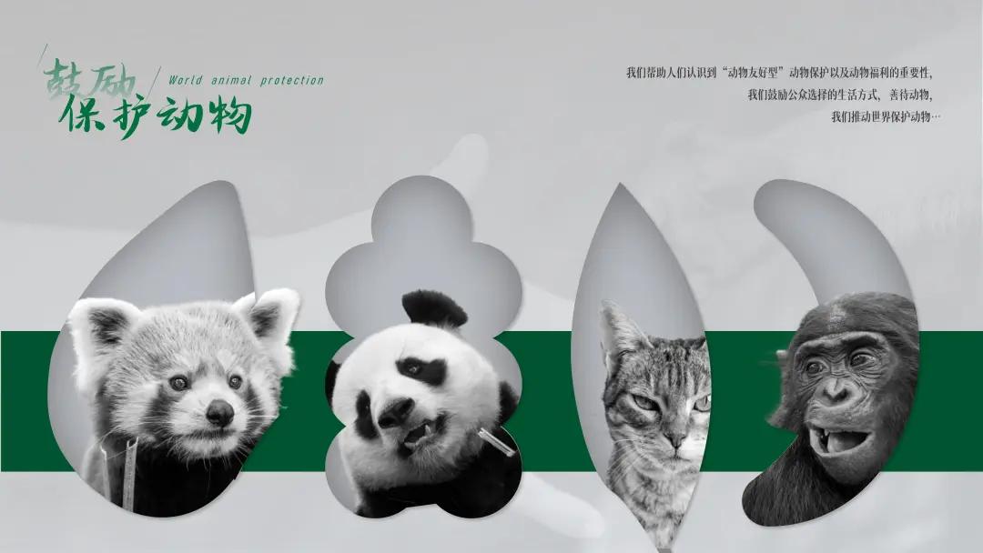 ppt排版设计技巧ppt制作培训教程,ppt优秀的图文排版案例