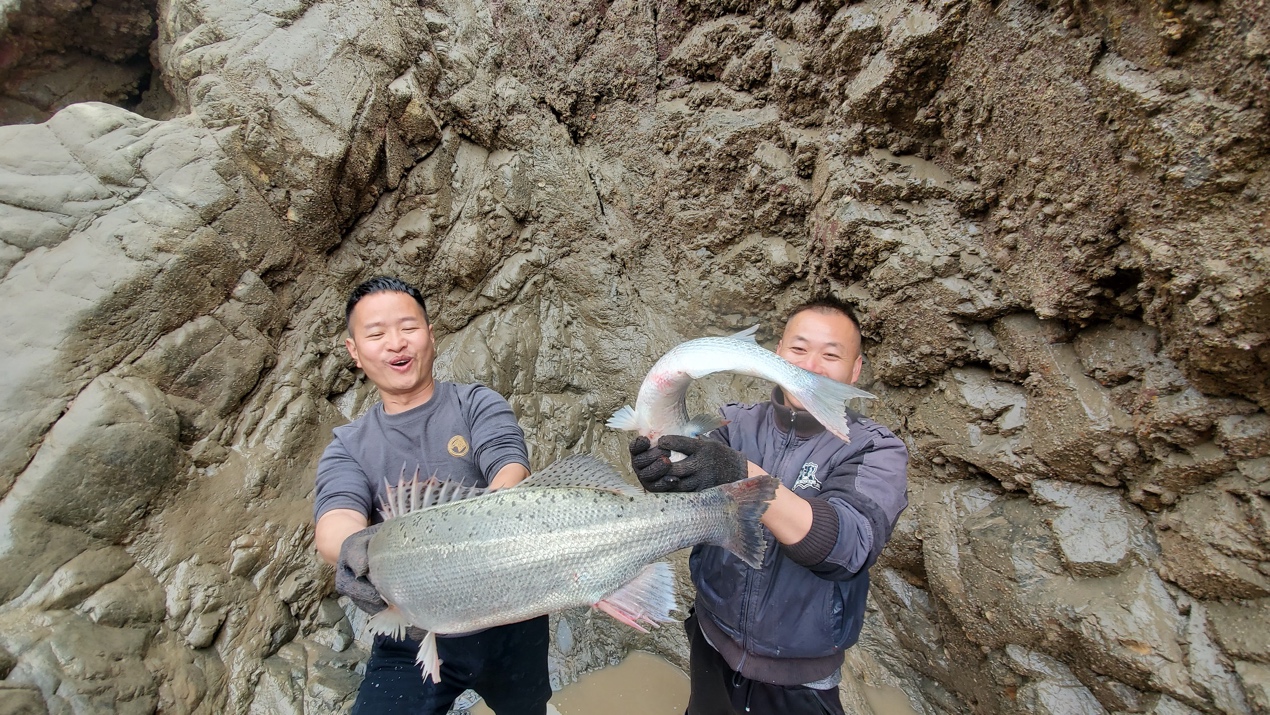 福建小伙抽干几百个水坑，带300万网友体验海边“开盲盒”