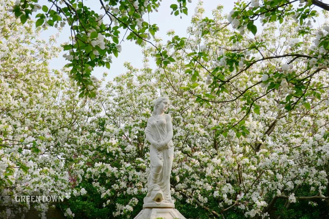 绿城印象南宁市江南区,绿城印象楼中楼