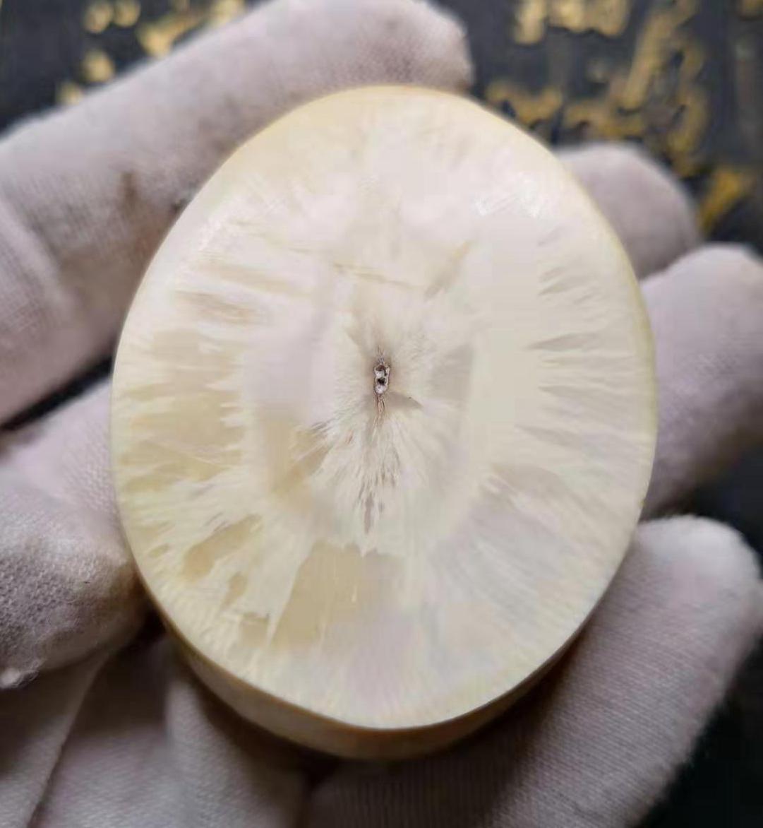 喜欢猛犸象的人,猛犸牙教程