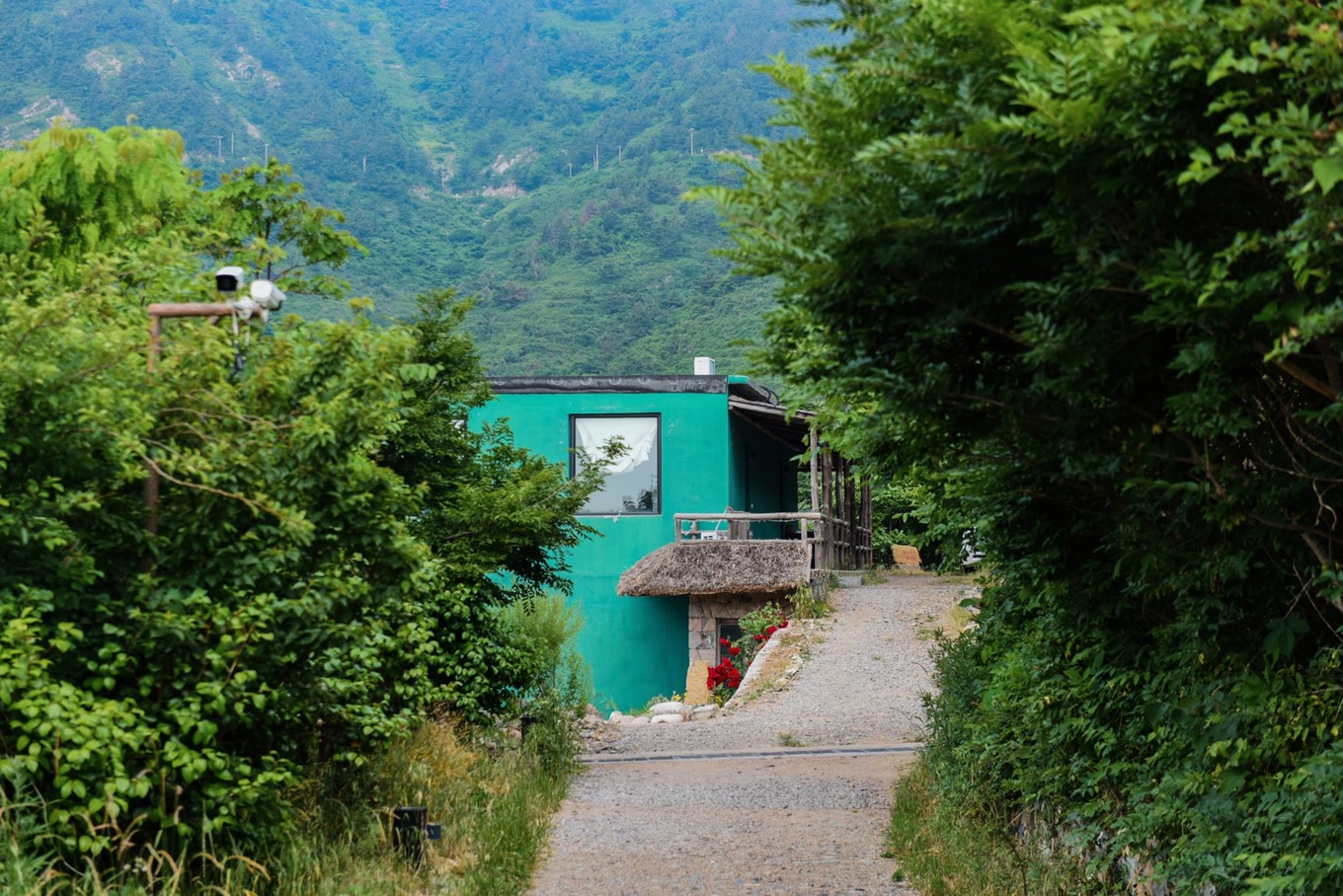 度假的袋鼠,青岛旅行的袋鼠