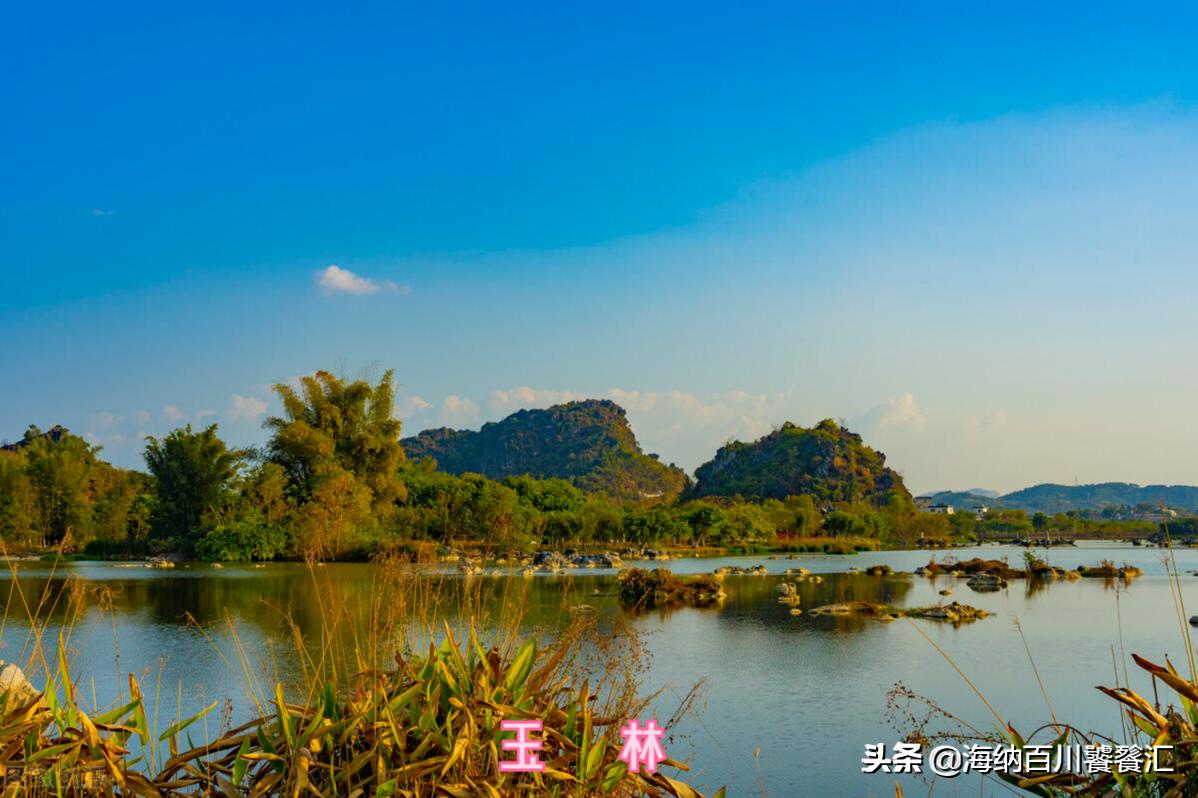 中国美食广西篇玉林肉蛋,广西玉林桂叔脆皮狗肉