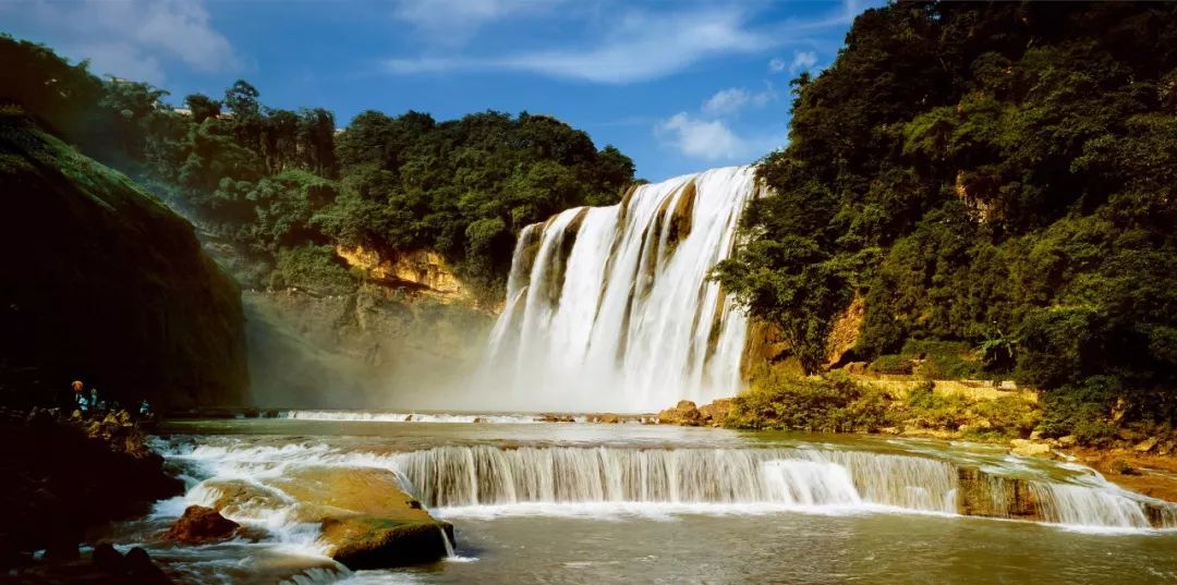 陈跃伟拳击,陈跃伟拳击教练