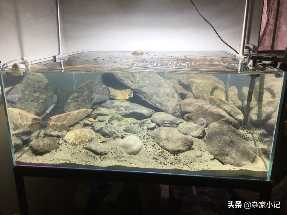 原生缸加热推荐,不用过滤器的原生缸