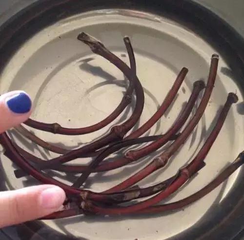 山上砍的木头做架子,山上藤条编织