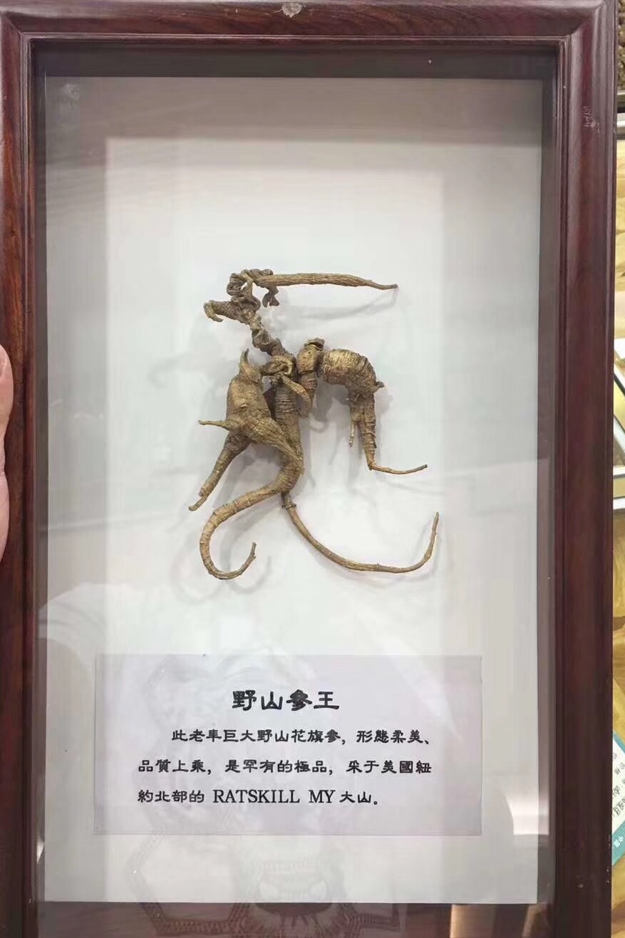 西洋参从哪里进的货,西洋参是从哪里传到中国的