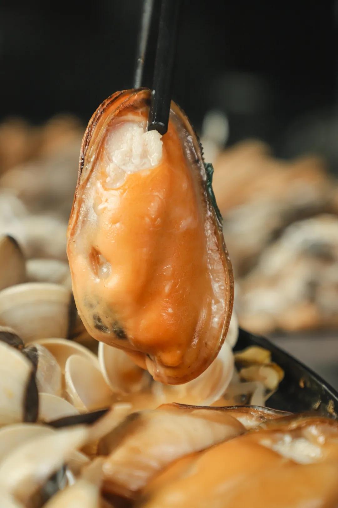 佛山禅城粤菜探店,佛山这家抵食街坊粤菜你吃过吗