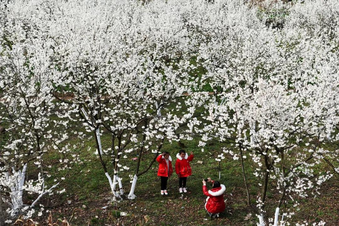 彪炳史册的伟大奇迹全文,伟大壮举中国脱贫攻坚成就展视频