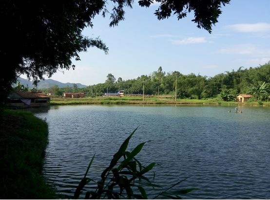 村委会村情概况,村情一表通