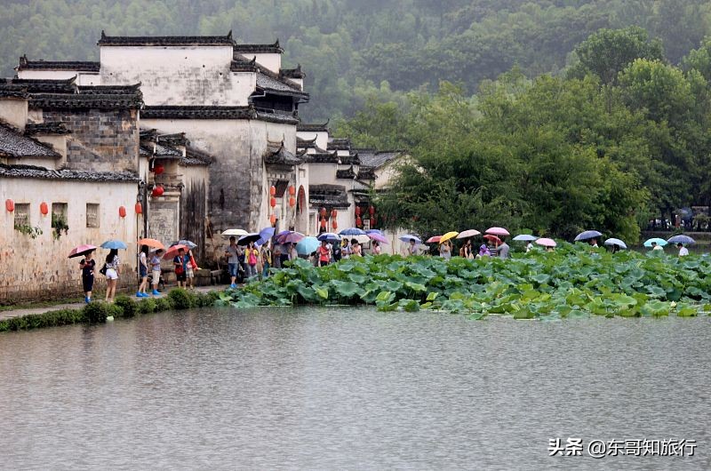 第一次去黄山要带什么,第一次来婺源需要注意什么