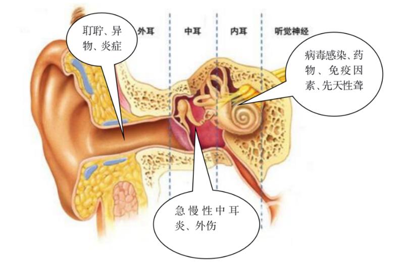 爱耳日幼儿视频,爱耳日的幼儿版视频
