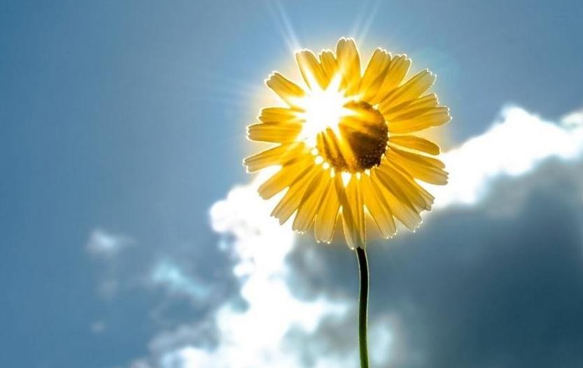 孩子聪明妈妈不要贴标签,不要随意给孩子贴懒惰的标签