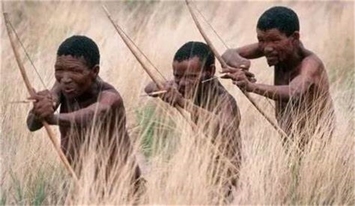 人体的毛发有什么医学意义吗,身体下面的毛发什么作用