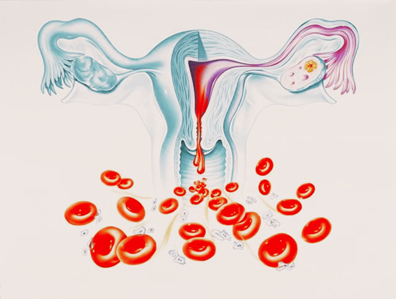 中国女性用卫生棉条的多吗,国外女生用卫生巾还是棉条