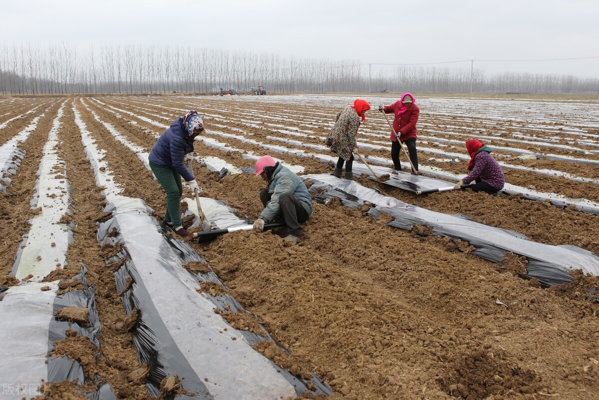 诗经良耜赏析,诗经周颂良耜解析