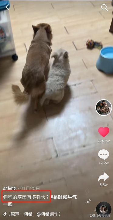 怎样打造自媒体爆文标题,新媒体运营爆款的11个标题套路