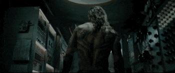 海王,D杯美少女