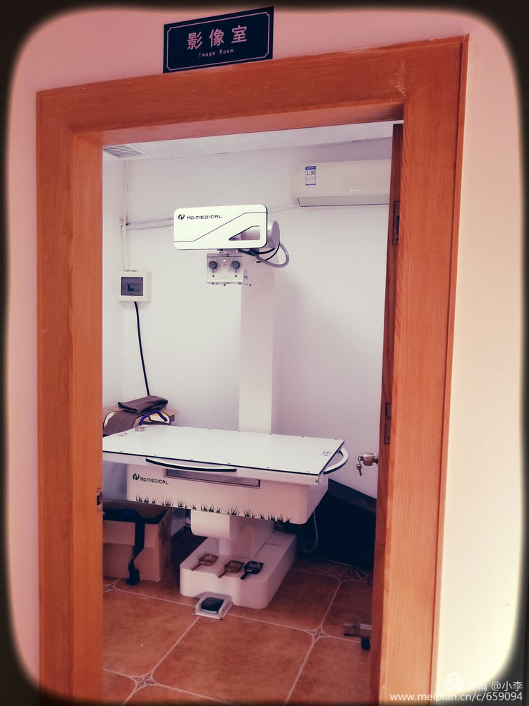 珠海猫猫宠物会所服务商,珠海宠物矫正训练