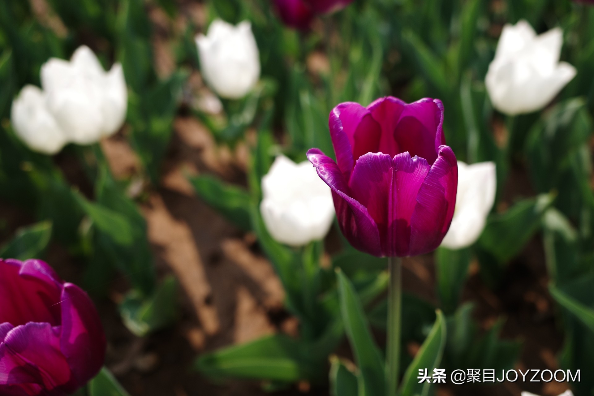 理光gr3与理光gr3x的区别,理光gr3拍照效果图