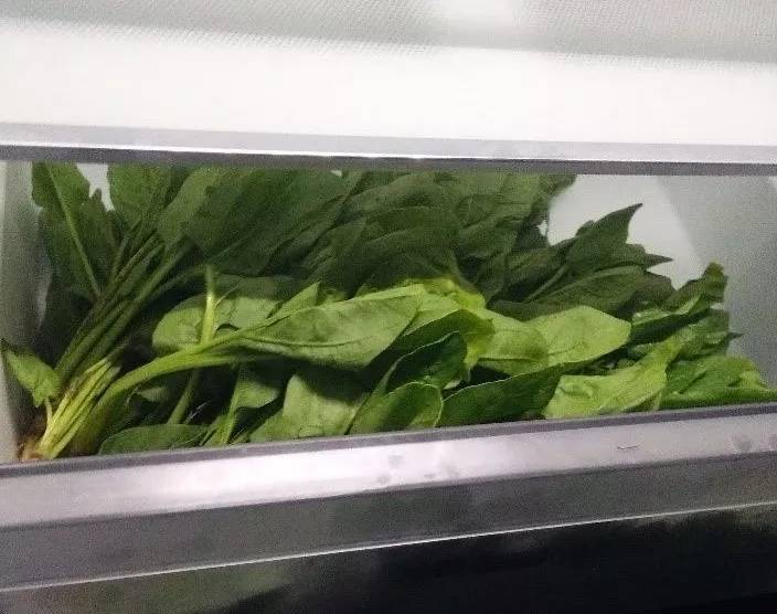 冰箱负离子杀菌是真的吗,负离子生态杀菌冰箱