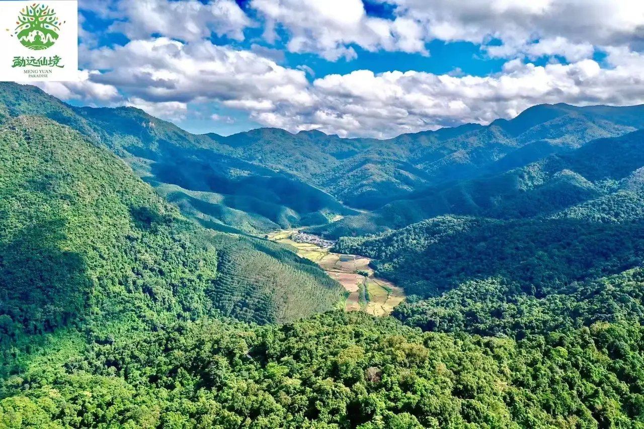 地球上最复杂最庞大的生态系统是,世界上最大的热带雨林生态系统