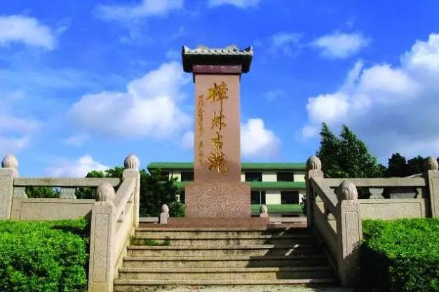 游四方全部视频,游四方四川