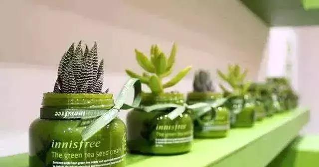 垃圾分类美妆品牌,国外品牌化妆品排行榜第一名