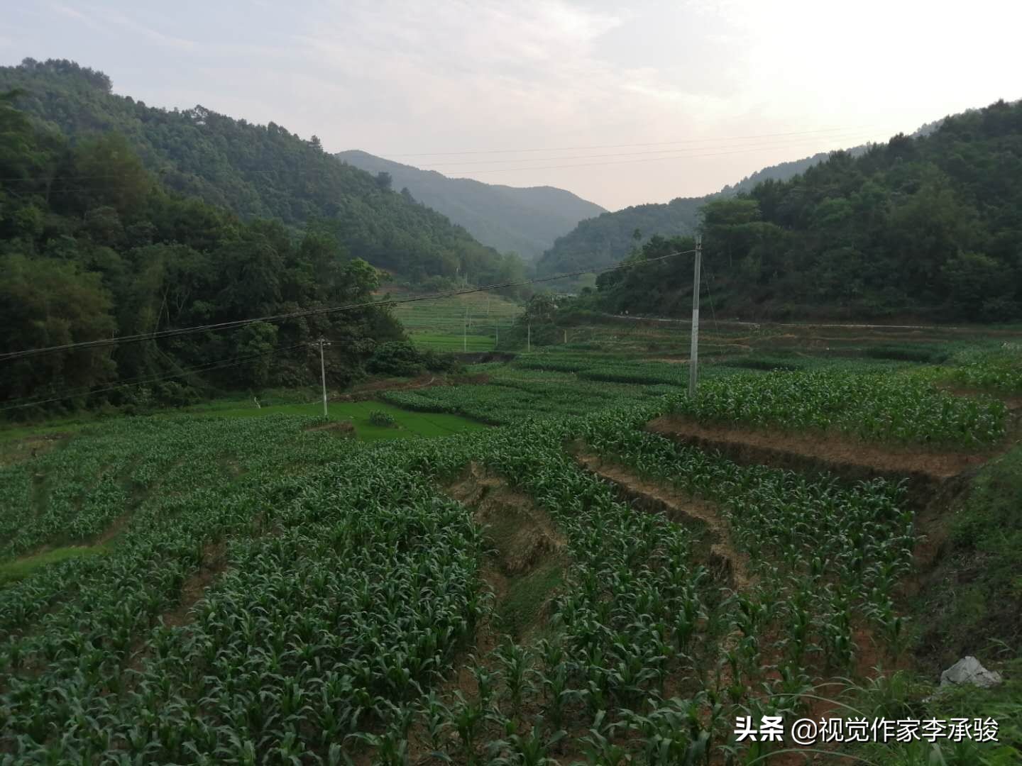 哦，德保县荣华乡乐屯，我土土的故乡和土土的家乡人，春天好！