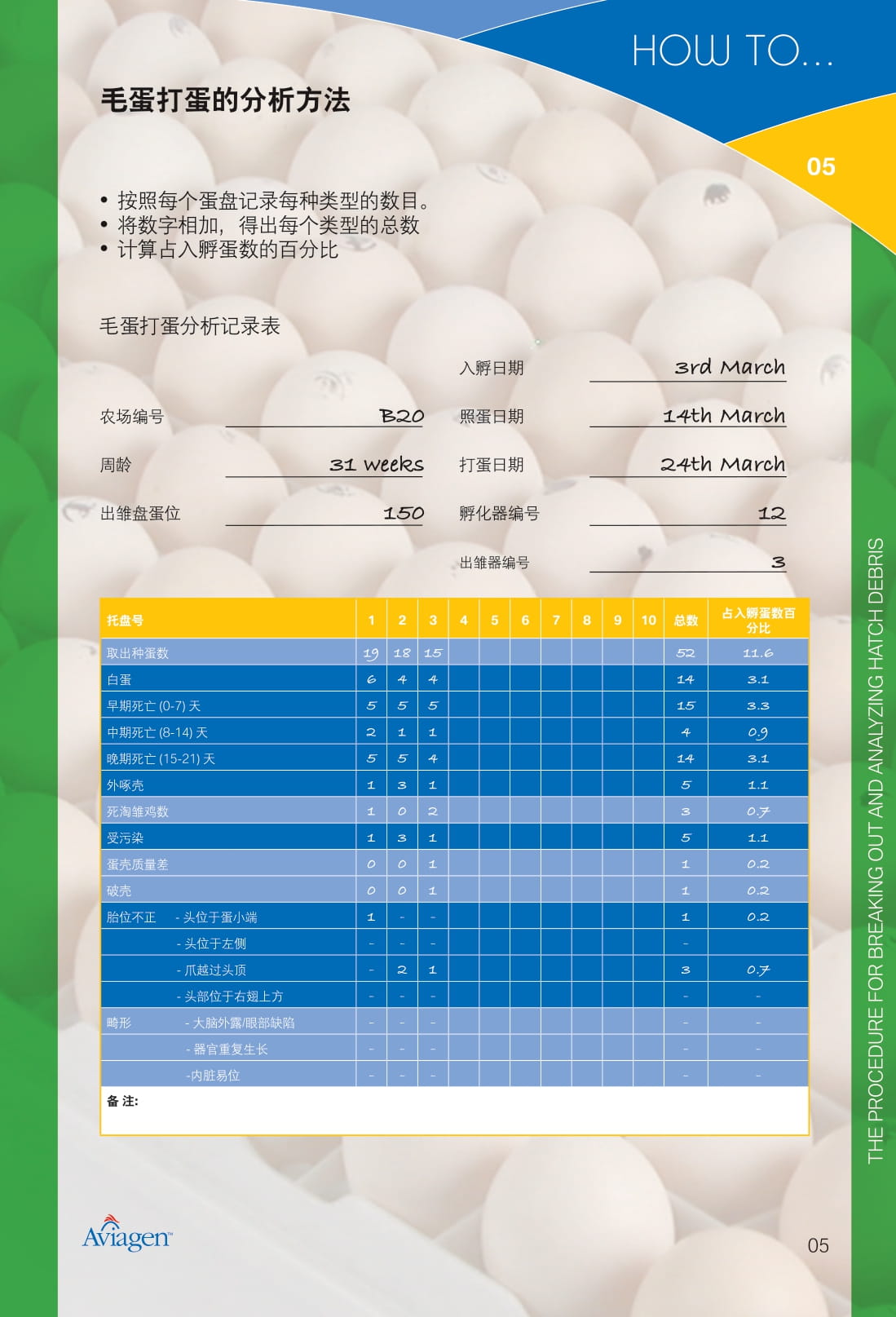 毛蛋做实蛋方法,打蛋怎么做又滑又嫩没气泡