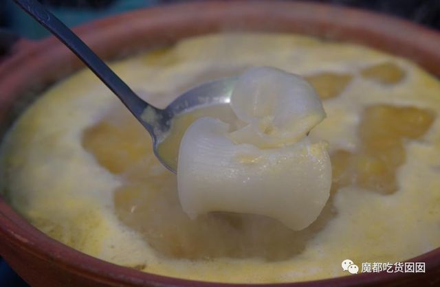 重磅收藏|魔都最全花胶鸡测评，我们为此吃掉200斤花胶鸡！