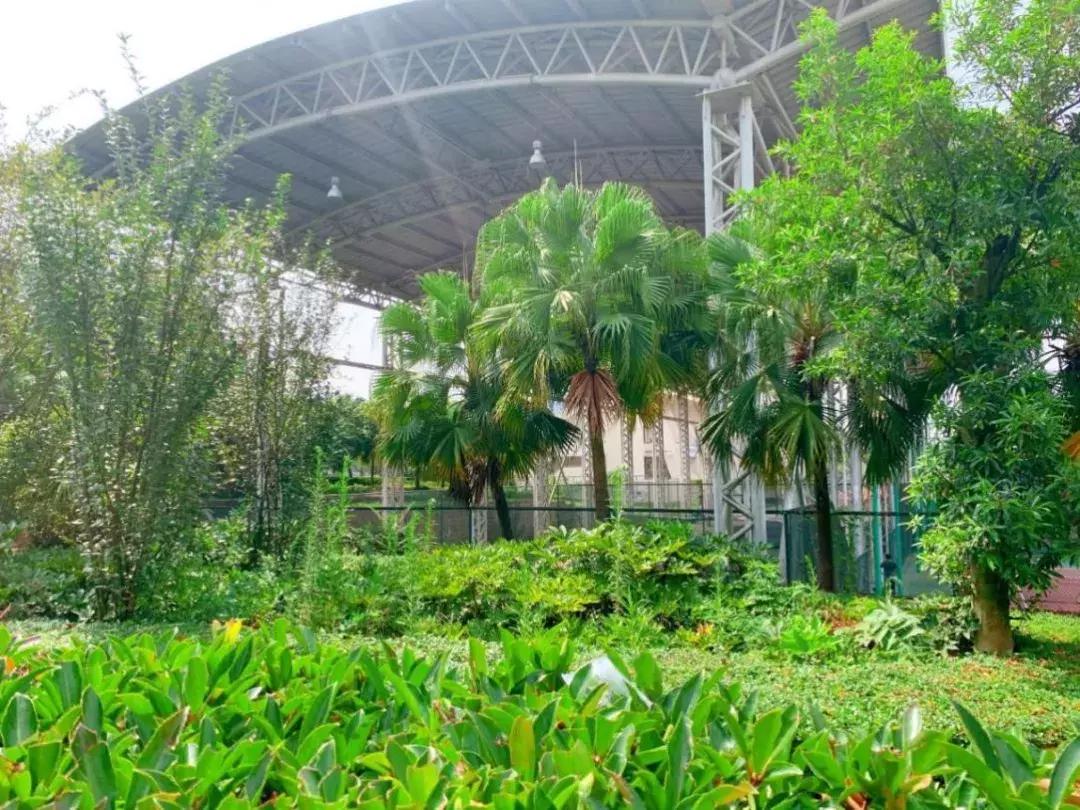 龙泉最贵的幼儿园,成都龙泉驿区最贵的幼儿园