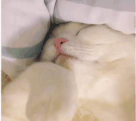 18个有意思的冷知识,36个有趣的冷知识